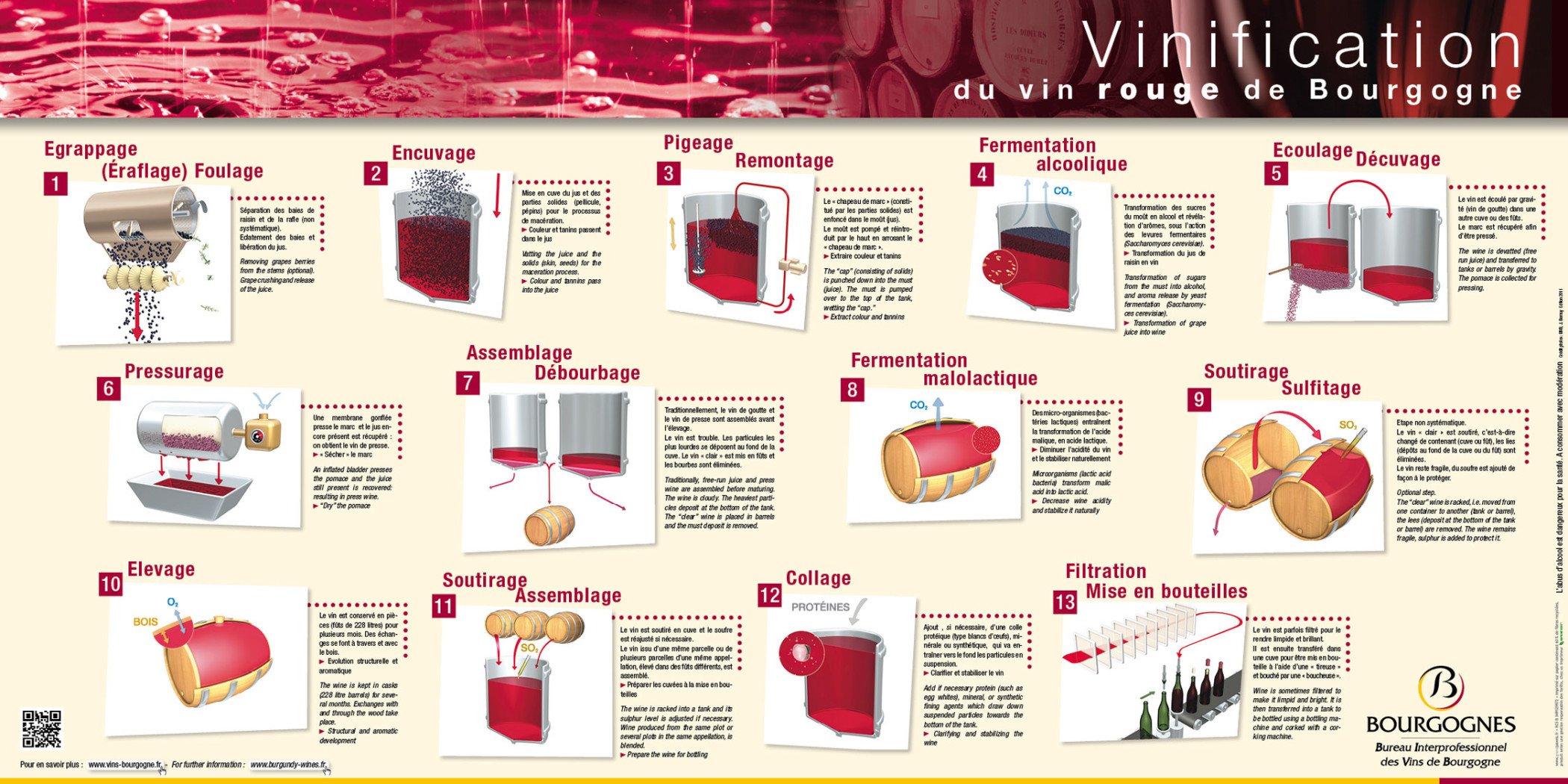 La vinification des vins rouges