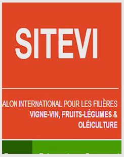 sitevi_Montpellier_Invia